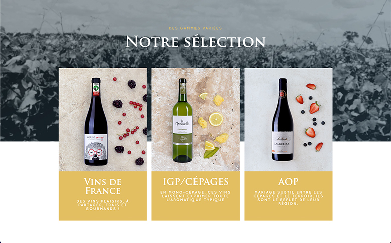 Création d'un site WordPress avec catalogue produit pour Jacques Frelin Vignobles - image de galerie