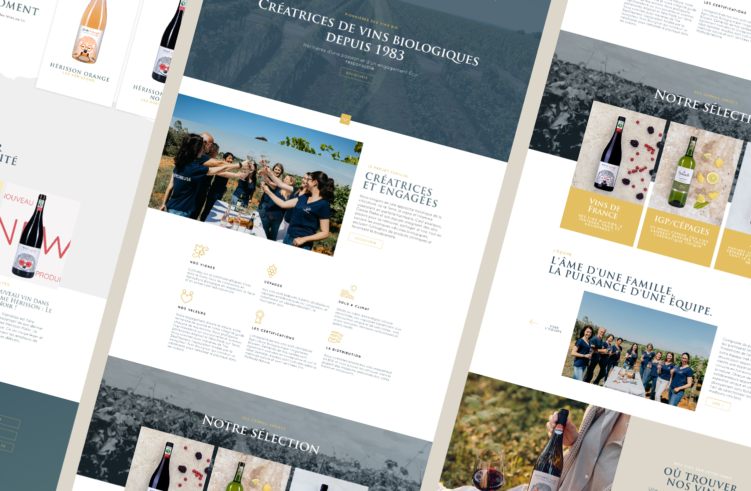 Création d'un site WordPress avec catalogue produit pour Jacques Frelin Vignobles