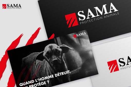sama-protection-banner